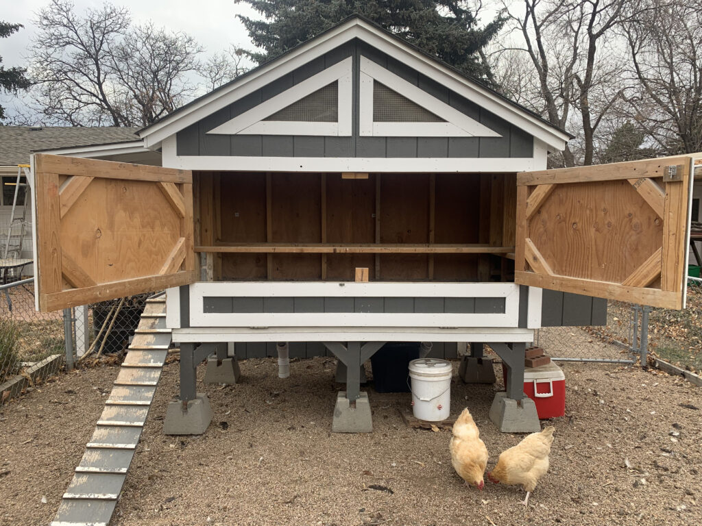 gray and white chicken coop with doors open on concrete blocks with ramp and two yellow chickens