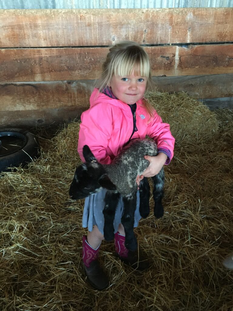 Young girl holding newborn dark and light lamb surrounded by straw